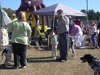 /images/events/6/DOGFEST 2007 021-thumb.jpg